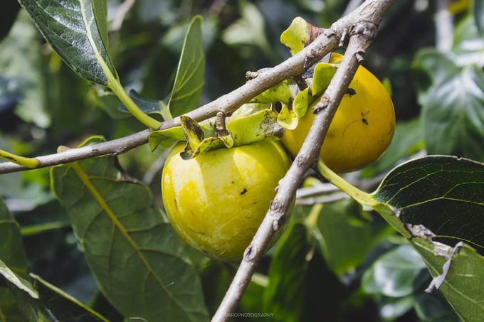 5-diem-den-khong-the-bo-qua-trong-thang-10-wetrekvn