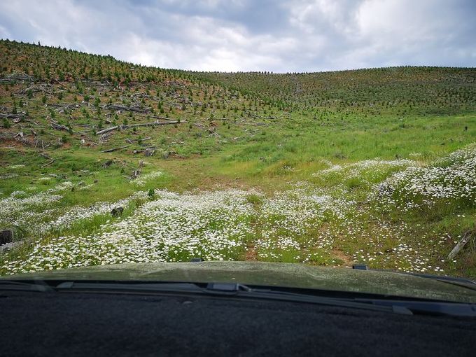 bai-hoc-dat-gia-cho-chang-trai-di-duong-tat-theo-google-maps-wetrekvn