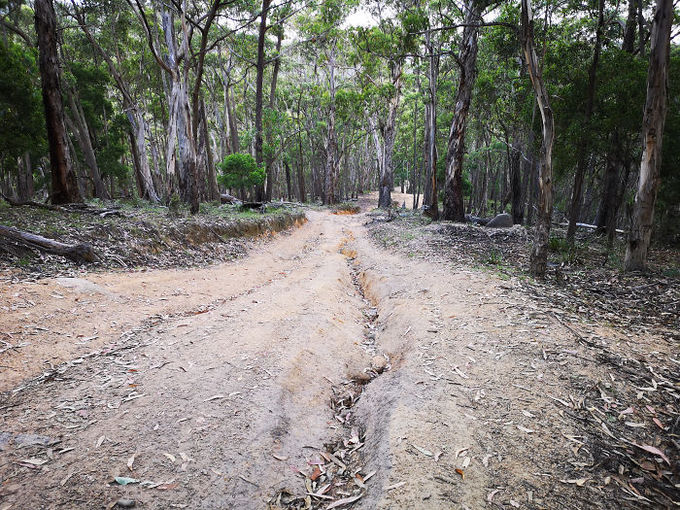 bai-hoc-dat-gia-cho-chang-trai-di-duong-tat-theo-google-maps-wetrekvn