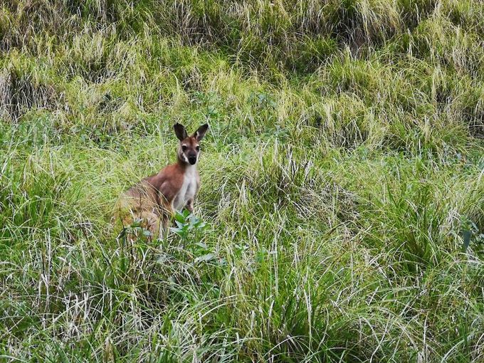 bai-hoc-dat-gia-cho-chang-trai-di-duong-tat-theo-google-maps-wetrekvn