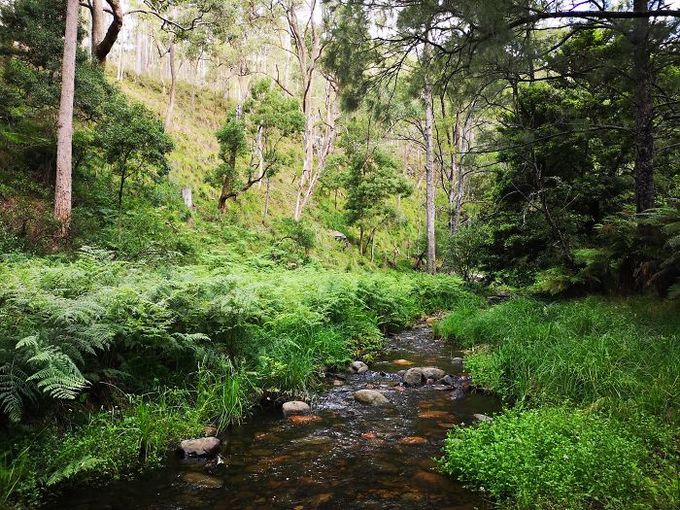 bai-hoc-dat-gia-cho-chang-trai-di-duong-tat-theo-google-maps-wetrekvn