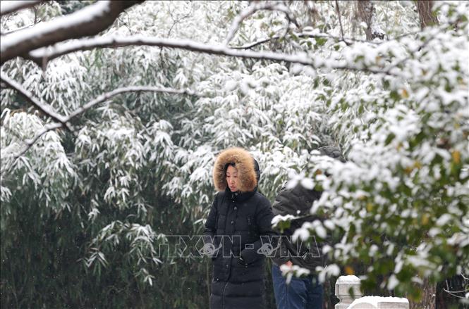 tuyet-roi-dau-dong-tuyet-dep-tai-trung-quoc-wetrekvn