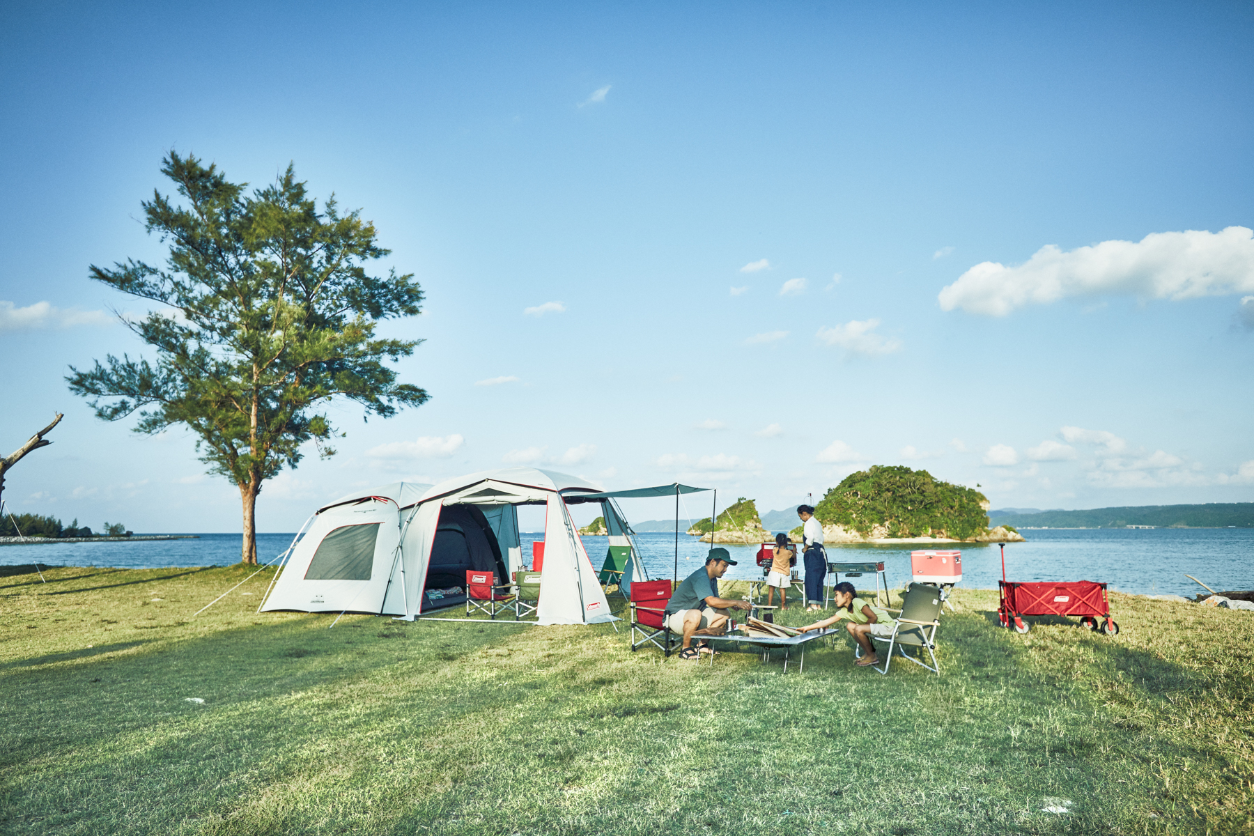 meo-cam-trai-khong-bi-trom-cap-wetrek