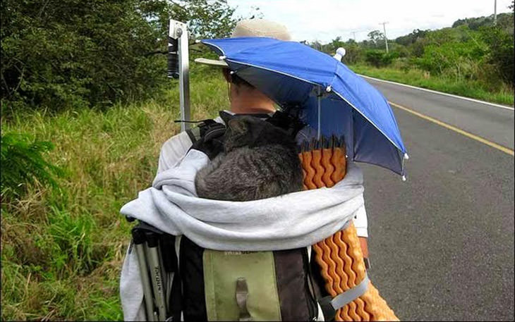 kitty-chu-meo-di-xuyen-chau-my-wetrek.vn