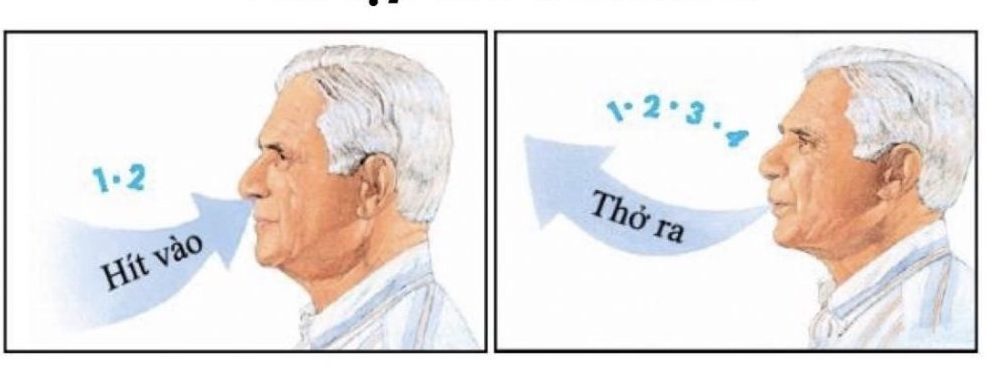 ba-bai-tap-tho-cho-fo-tai-nha-wetrekvn