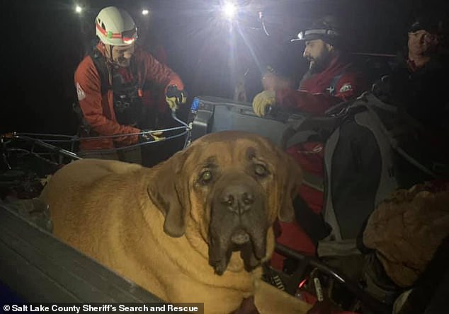 chu-cho-nga-khung-lo-di-leo-nui-cung-chu-cuoi-cung-phai-goi-cuu-ho-cang-xuong-wetrekvn