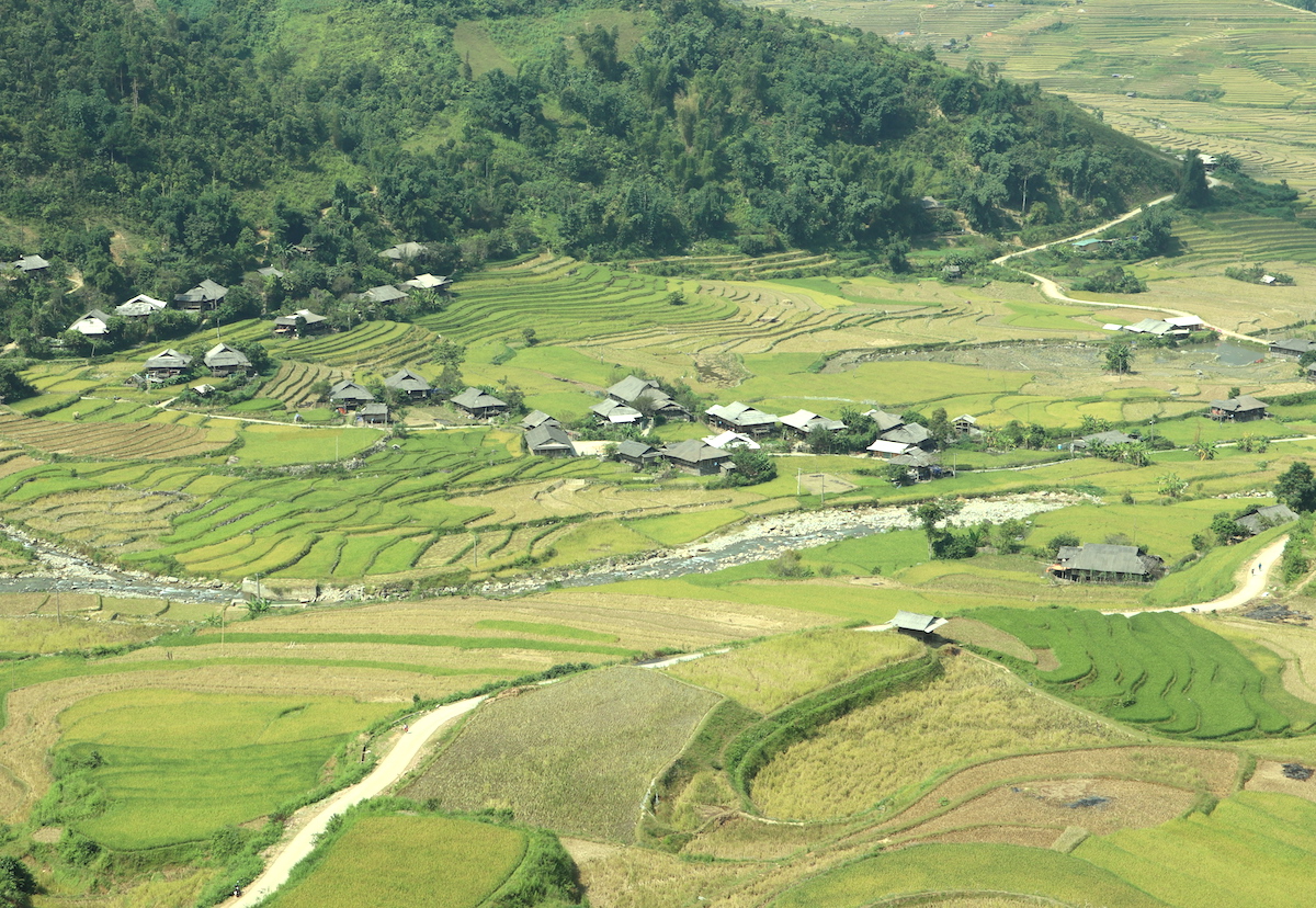 Ruong-bac-thang-mu-cang-chai-dep-hut-hon-mua-lua-chin-wetrekvn