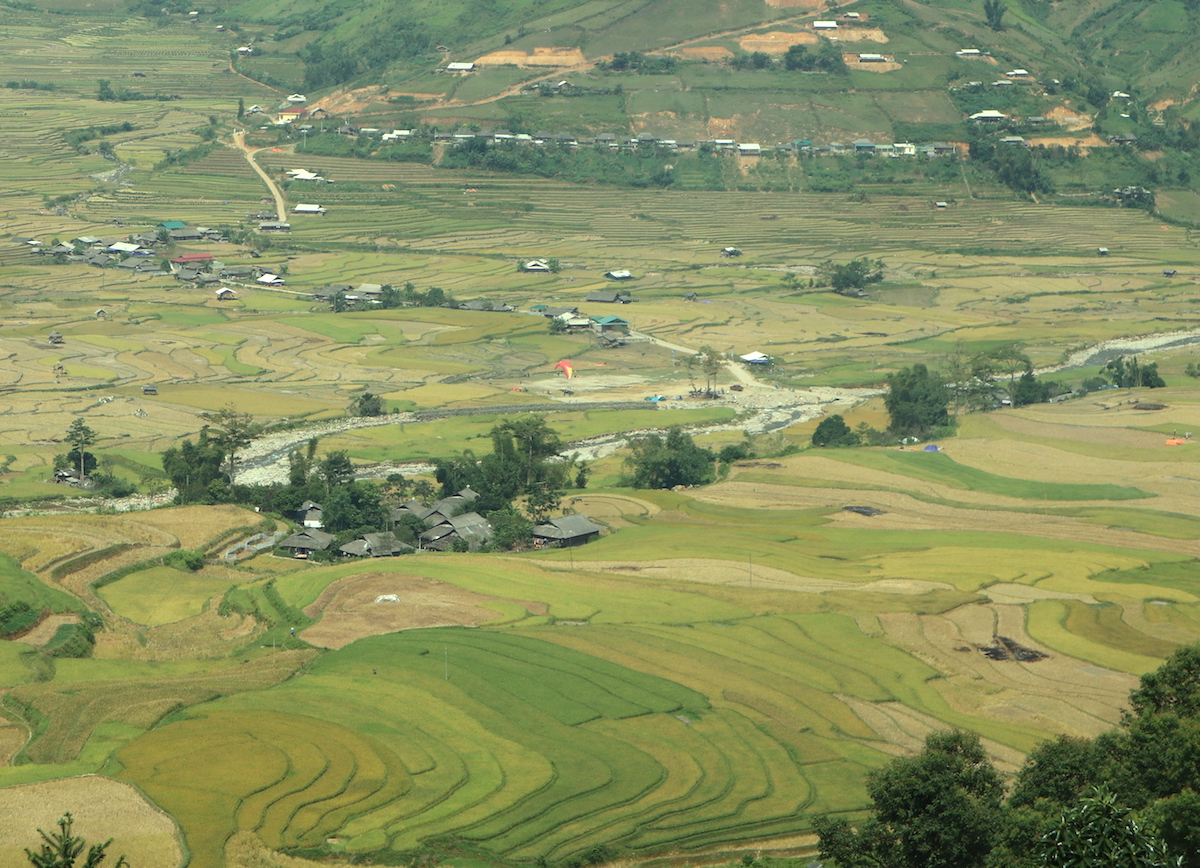 Ruong-bac-thang-mu-cang-chai-dep-hut-hon-mua-lua-chin-wetrekvn
