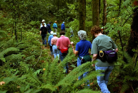 kinh-nghiem-can-thiet-khi-di-du-lich-rung-wetrekvn