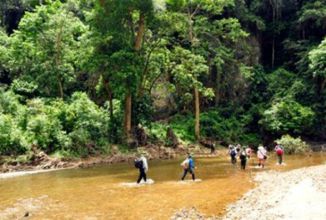 kinh-nghiem-can-thiet-khi-di-du-lich-rung-wetrekvn