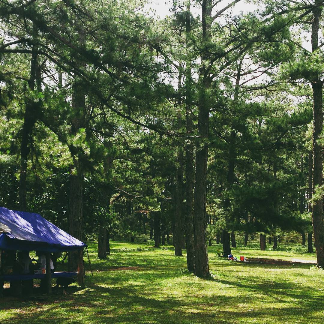 5-diem-cam-trai-tuyet-nhat-Da-Lat-wetrekvn.jpg