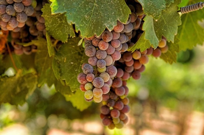 4 lưu ý giúp bạn tránh bị nhiễm khuẩn khi đi khám phá những vùng đất lạ9