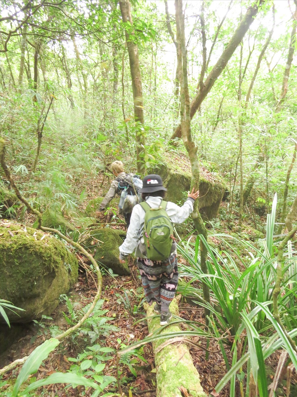 Chinh phục đỉnh Voi Mẹp - nóc nhà của Quảng Trị3