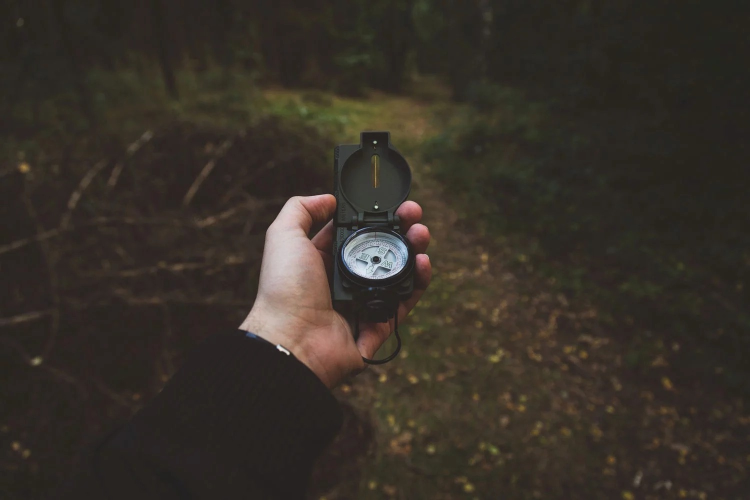 Top 5 kỹ năng sẽ cứu sống bạn khi bị lạc trong rừng sâu4