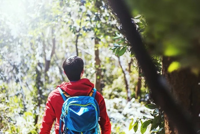 Top 5 kỹ năng sẽ cứu sống bạn khi bị lạc trong rừng sâu5