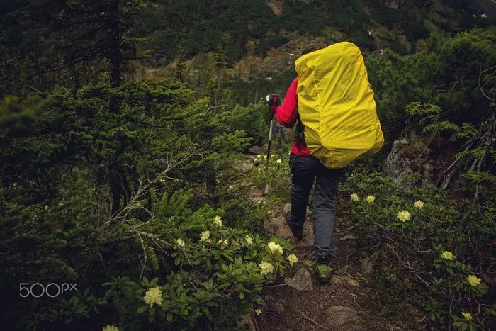 Top 5 kỹ năng sẽ cứu sống bạn khi bị lạc trong rừng sâu6