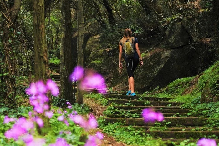 Top 5 kỹ năng sẽ cứu sống bạn khi bị lạc trong rừng sâu8