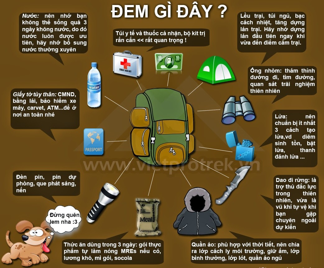 [WeTrekology]Cùng ôn luyện những kỹ năng sinh tồn trong rừng khi bị lạc và tất tần tật những điều bạn nắm rõ2