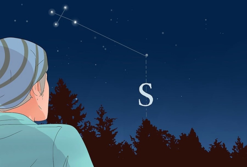 [WeTrekology]Cùng ôn luyện những kỹ năng sinh tồn trong rừng khi bị lạc và tất tần tật những điều bạn nắm rõ11