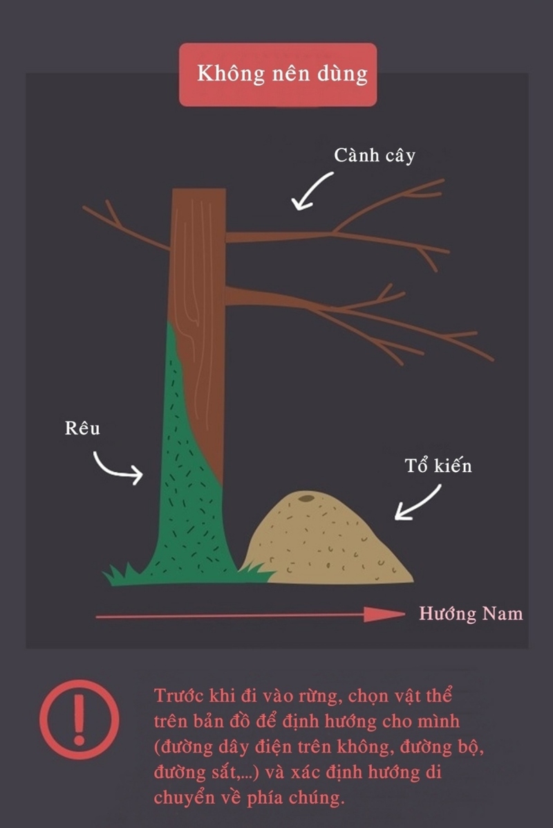 [WeTrekology]Cùng ôn luyện những kỹ năng sinh tồn trong rừng khi bị lạc và tất tần tật những điều bạn nắm rõ12