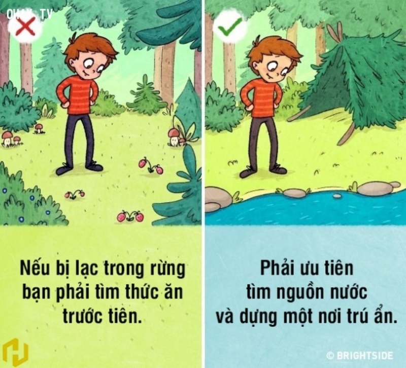 [WeTrekology]Cùng ôn luyện những kỹ năng sinh tồn trong rừng khi bị lạc và tất tần tật những điều bạn nắm rõ18