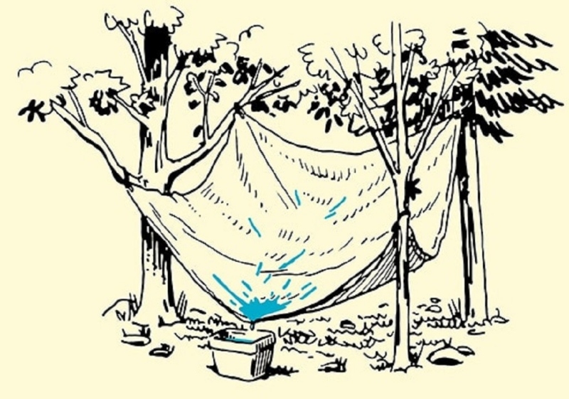 [WeTrekology]Cùng ôn luyện những kỹ năng sinh tồn trong rừng khi bị lạc và tất tần tật những điều bạn nắm rõ19