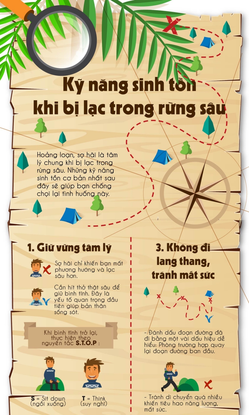 [WeTrekology]Cùng ôn luyện những kỹ năng sinh tồn trong rừng khi bị lạc và tất tần tật những điều bạn nắm rõ3