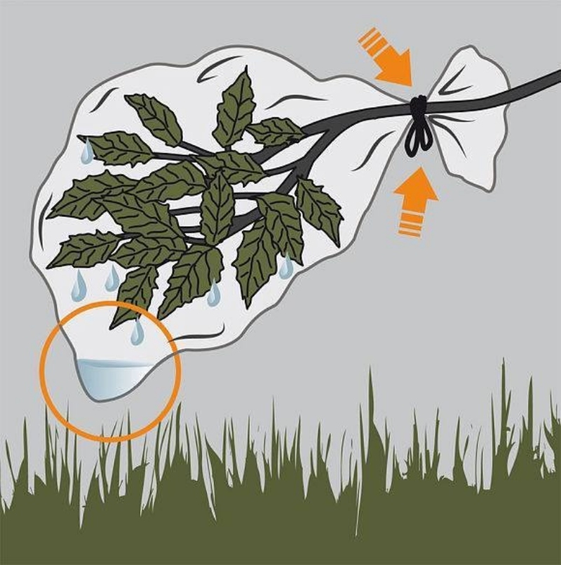 [WeTrekology]Cùng ôn luyện những kỹ năng sinh tồn trong rừng khi bị lạc và tất tần tật những điều bạn nắm rõ20