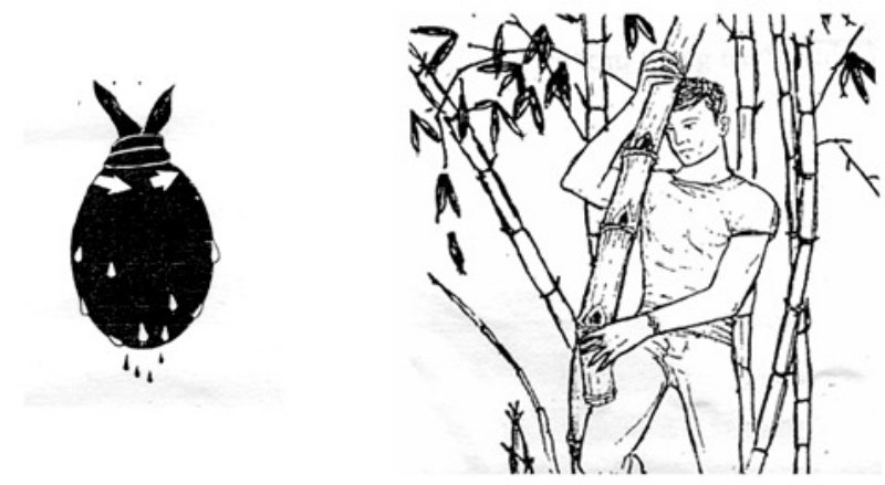 [WeTrekology]Cùng ôn luyện những kỹ năng sinh tồn trong rừng khi bị lạc và tất tần tật những điều bạn nắm rõ23