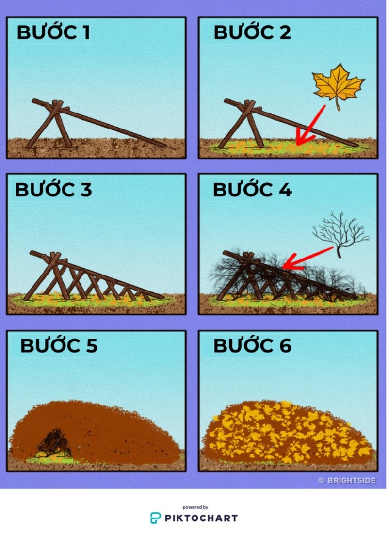 [WeTrekology]Cùng ôn luyện những kỹ năng sinh tồn trong rừng khi bị lạc và tất tần tật những điều bạn nắm rõ29