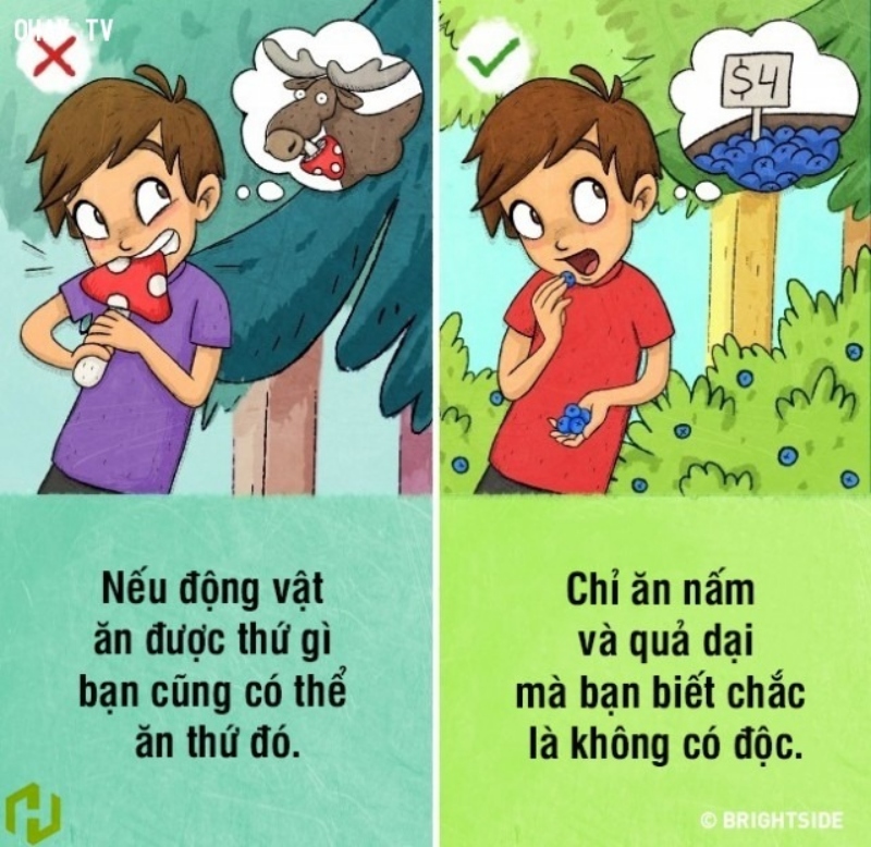 [WeTrekology]Cùng ôn luyện những kỹ năng sinh tồn trong rừng khi bị lạc và tất tần tật những điều bạn nắm rõ31