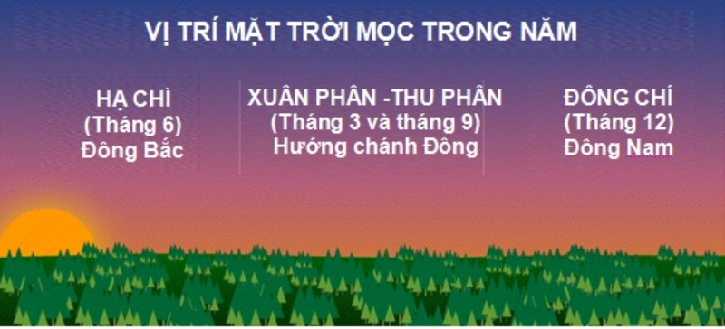 [WeTrekology]Cùng ôn luyện những kỹ năng sinh tồn trong rừng khi bị lạc và tất tần tật những điều bạn nắm rõ7