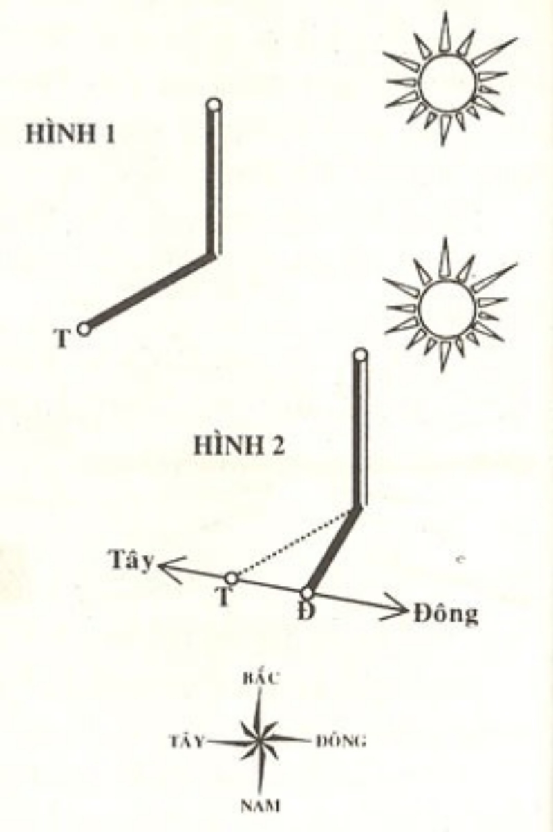 [WeTrekology]Cùng ôn luyện những kỹ năng sinh tồn trong rừng khi bị lạc và tất tần tật những điều bạn nắm rõ8