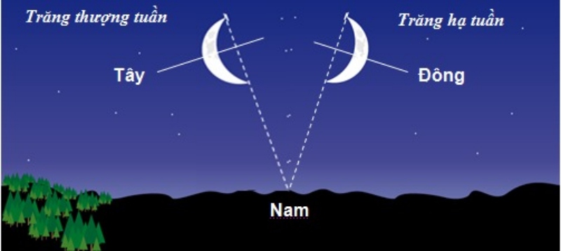 [WeTrekology]Cùng ôn luyện những kỹ năng sinh tồn trong rừng khi bị lạc và tất tần tật những điều bạn nắm rõ9