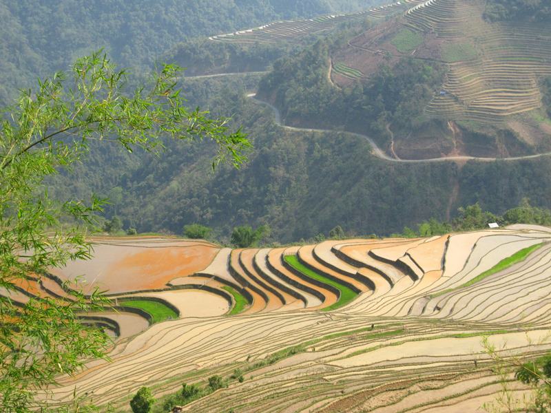 THÔNG TIN MÙA ĐỔ ẢI RUỘNG BẬC THANG TÂY BẮC - ĐÔNG BẮC 2013