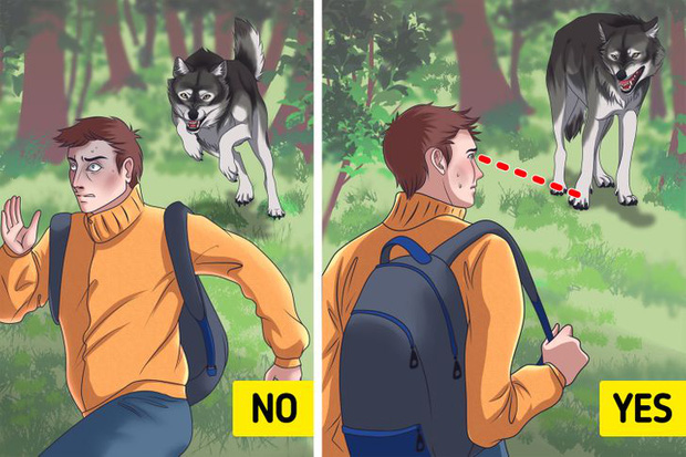 Loạt bí kíp sinh tồn sẽ giúp bạn thoát khỏi 6 tình huống cực nguy hiểm mà bản thân có thể đối mặt trong đời - Ảnh 5. Loạt bí kíp sinh tồn sẽ giúp bạn thoát khỏi 6 tình huống cực nguy hiểm mà bản thân có thể đối mặt trong đời - Ảnh 5.