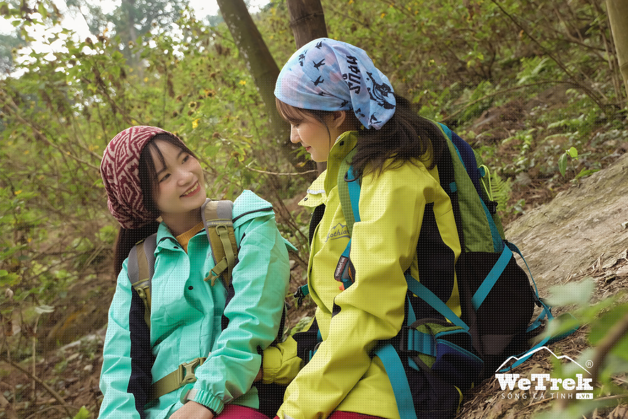 Không có mô tả ảnh.