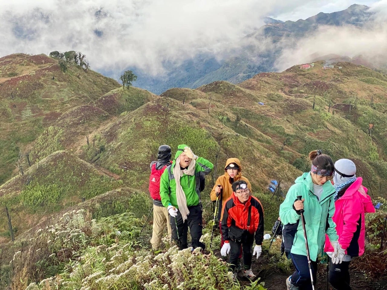 Không có mô tả ảnh.