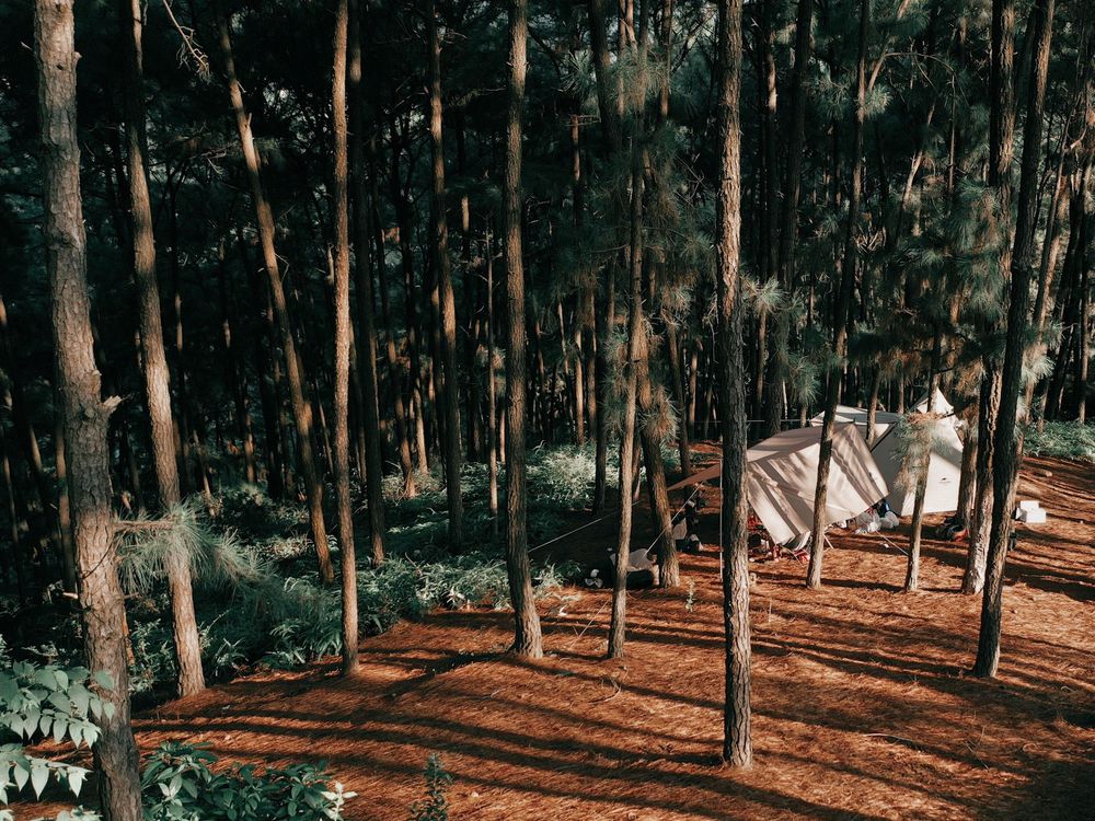 di-cam-trai-tro-lai-sau-thoi-gian-gian-cach-wetrekvn