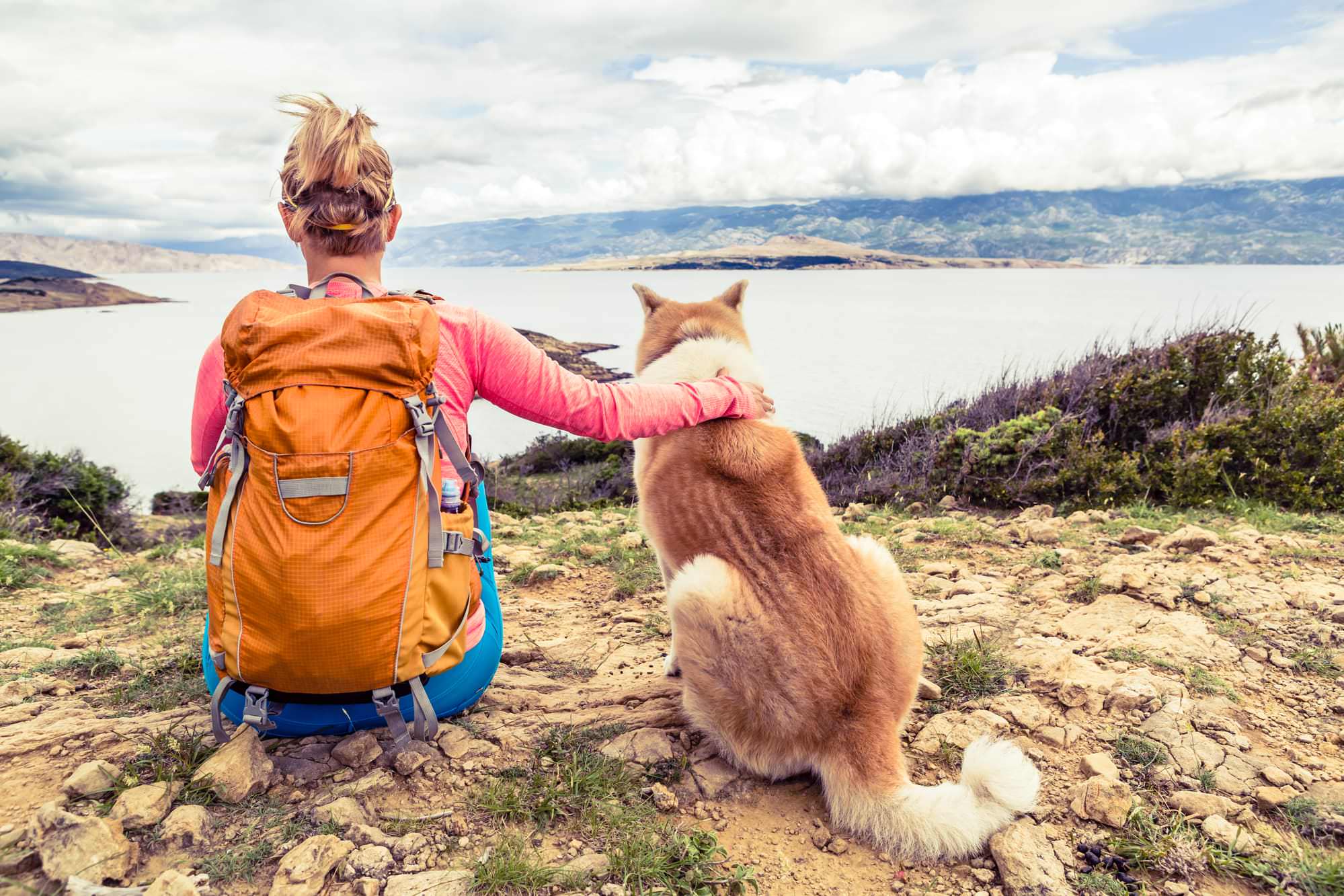 9-ly-do-nhung-chu-cho-la-ban-dong-hanh-tuyet-voi-khi-di-hiking-wetrek_vn-2