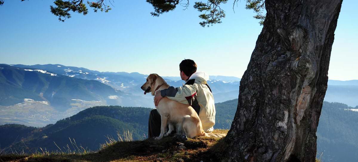 9-ly-do-nhung-chu-cho-la-ban-dong-hanh-tuyet-voi-khi-di-hiking-wetrek_vn