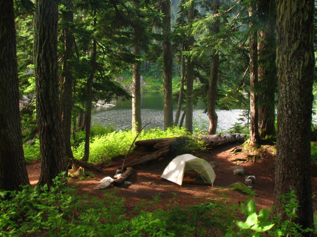 do-you-know-the-7-d-of-backcountry-defecation-wetrek_vn-1