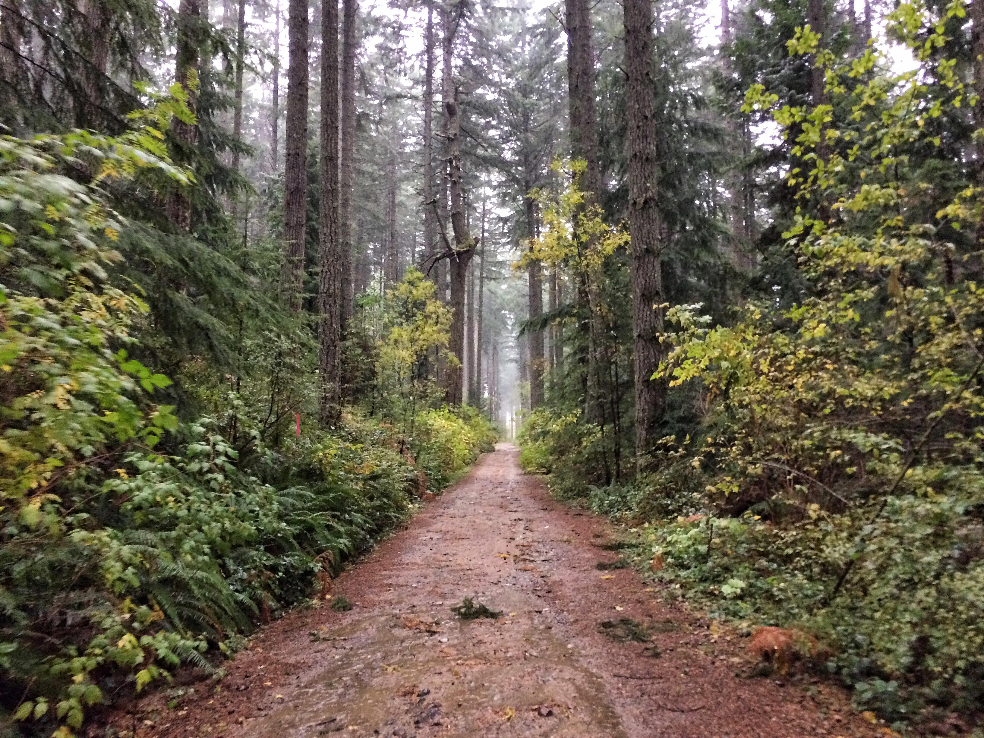 dung-de-troi-mua-ngan-can-ban-hiking-wetrek_vn-1