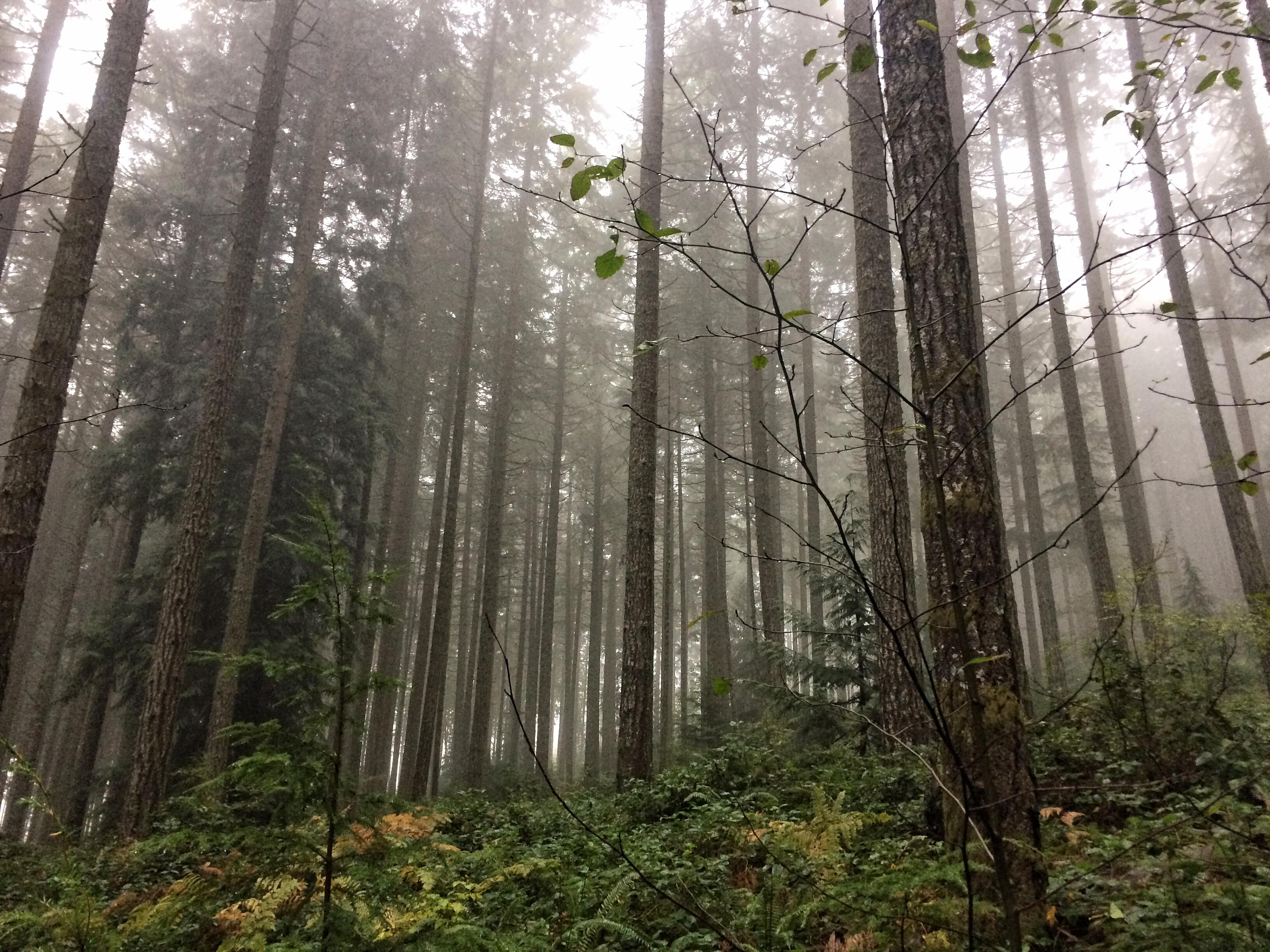 dung-de-troi-mua-ngan-can-ban-hiking-wetrek_vn-3