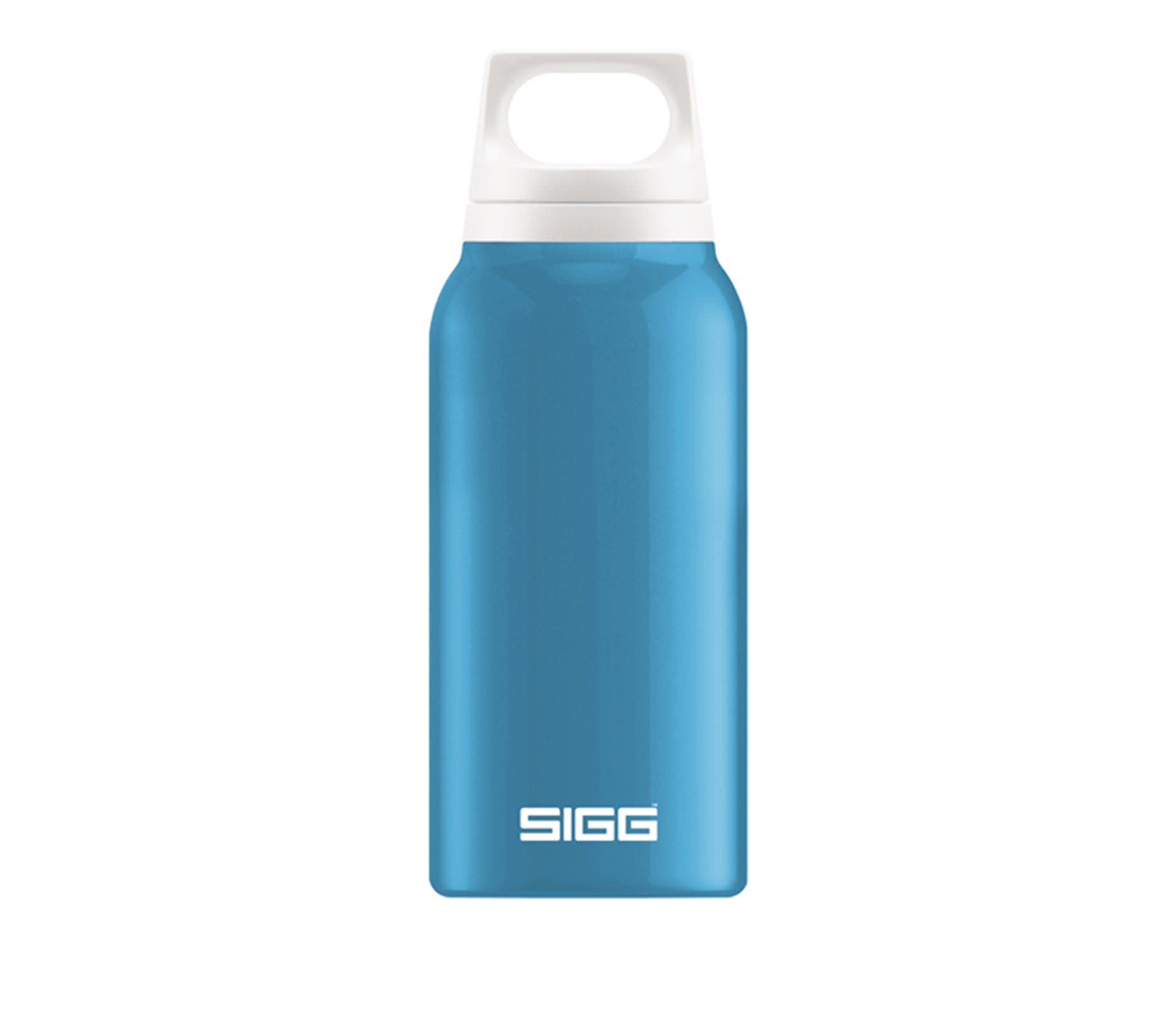 binh-giu-nhiet-sigg-hot-and-cold-classic-aqua-300ml-WETREK.VN