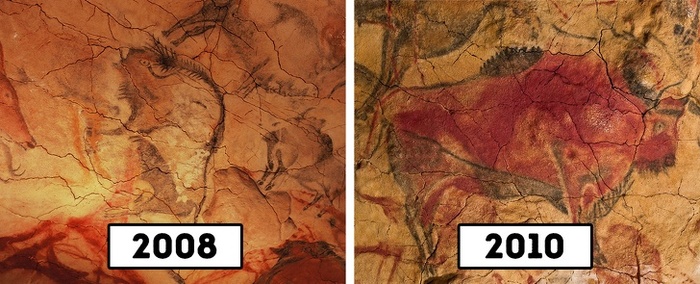 canh-dep-bi-con-nguoi-tan-pha-wetrekvn