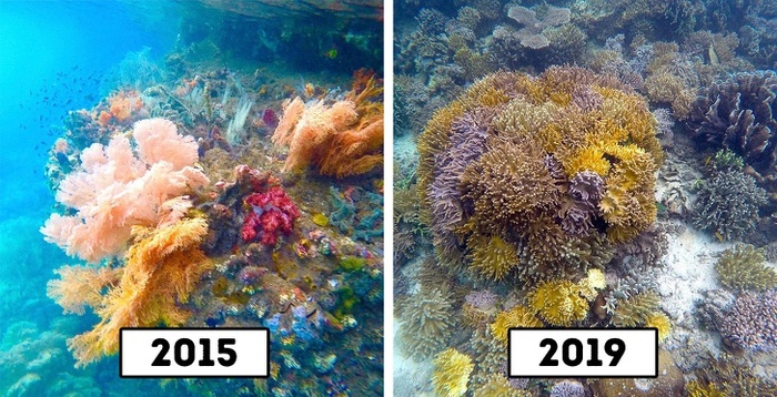 canh-dep-bi-con-nguoi-tan-pha-wetrekvn