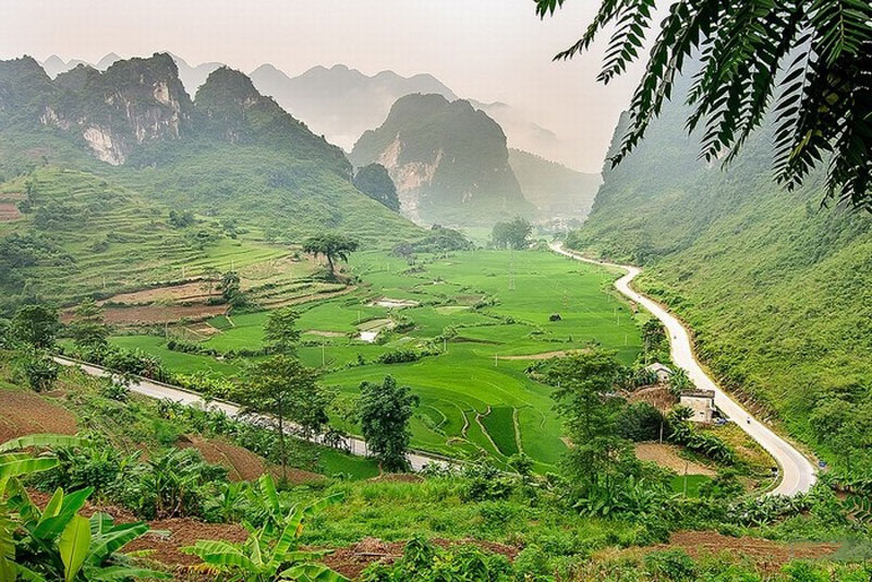 toi-cao-bang-dung-quen-ghe-tham-deo-ma-phuc-tho-mong-wetrekvn