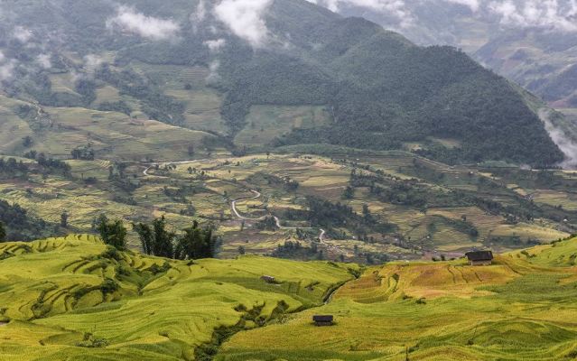 mua-vang-y-ty-huong-thom-lua-moi-me-man-quen-loi-ve-wetrekvn