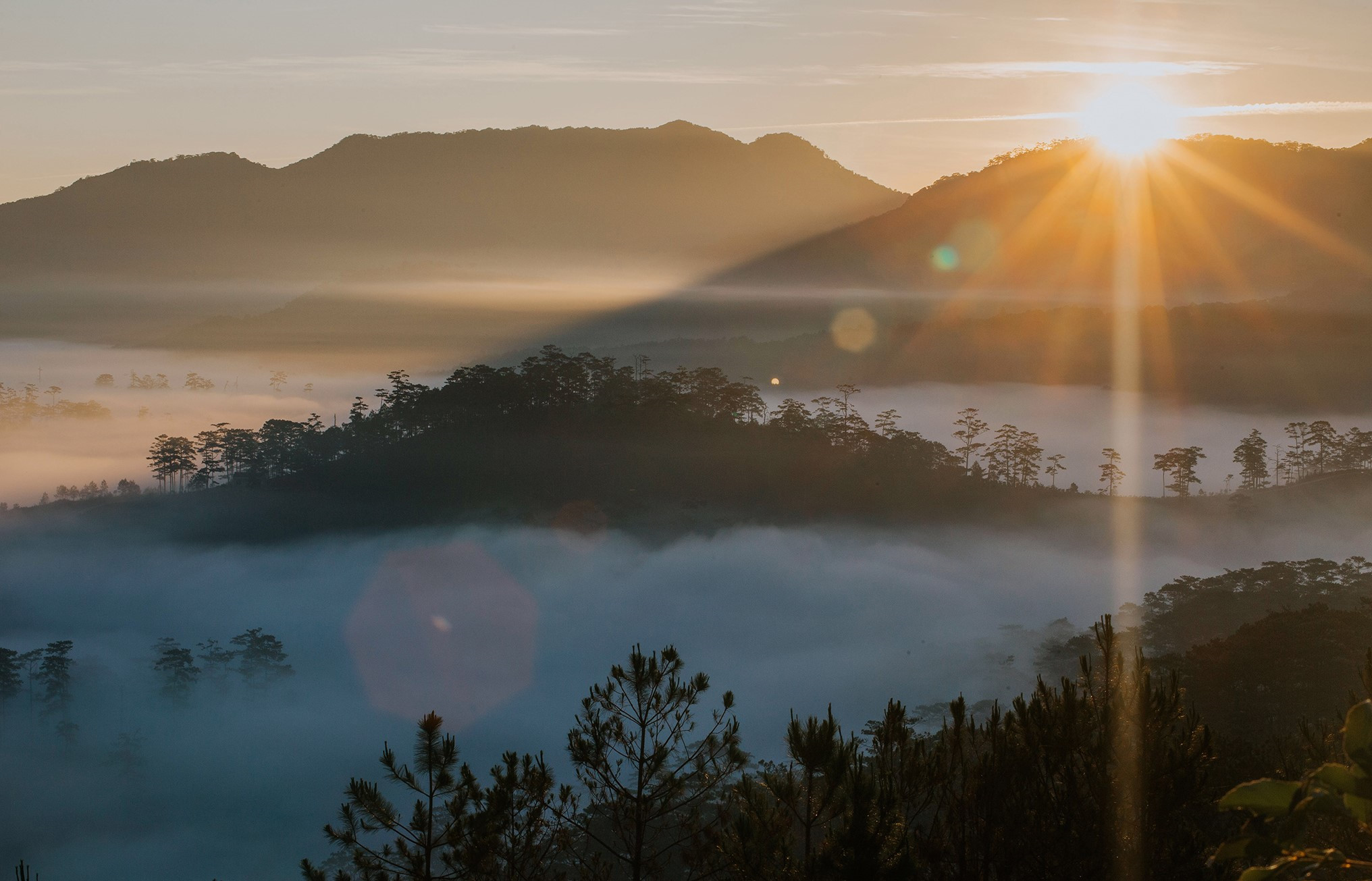 nam-moi-ghe-Da-Lat-ngam-thanh-pho-chim-trong-suong-wetrekvn